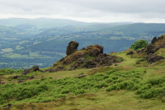 
The Monster slagheap, Garnddyrys Forge, June 2009